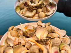 -蓝湾碧波·老字号·疍家非遗海上餐厅