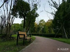 -天鹅湖体育公园