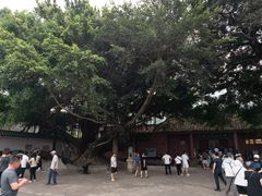 -闽粤南澳总镇府