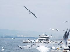 -海埂大坝