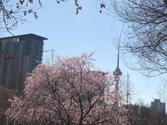 -玲珑塔公园