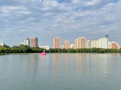 -莲花池公园