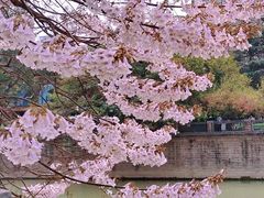 -红星桥(地铁站)