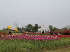 -杭州湾海上花田景区