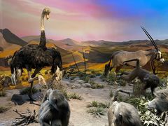 -国家自然博物馆