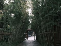 -新荣记(西溪湿地店)