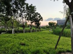 -西海子公园
