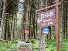 -硗碛藏寨·神木垒景区