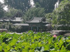 -晋祠公园