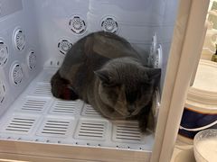 -FAELING PETS美天灵宠物(合生汇店)