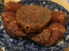 红毛蟹-隐泉京望日式料理(太和广场店)