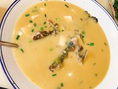 昂刺鱼豆腐汤-印象江南(东栅店)