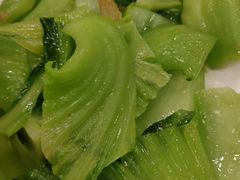 -外沙疍家棚酒楼