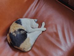 -麦田书店(国防路店)