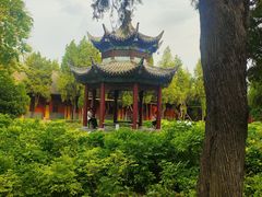-洛阳白马寺