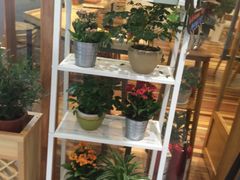 -猫的天空之城概念书店(印象城购物中心店)