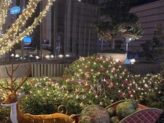 -浅深Cheersum(曹杨店)