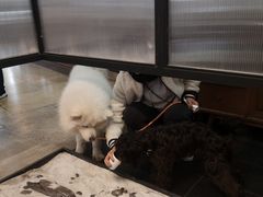 -VESH COFFEE(定西路店)