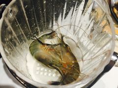-星伦多自助料理(华润万象城店)