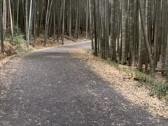 -苏州环秀晓筑养生度假村