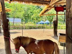 -水上乐园·欢乐世界