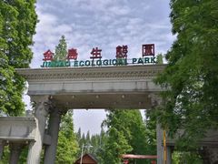 -金岛生态园烧烤露营地