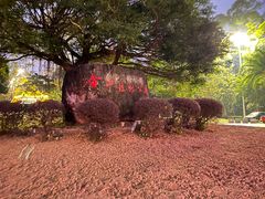 -金山植物公园