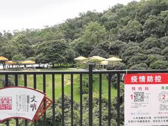 -东莞市大岭山森林公园