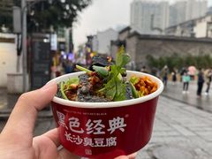 -黑色经典臭豆腐·湖南特产(坡子街特产局店)
