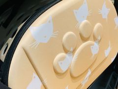 -东方名猫馆·英短金渐层布偶猫舍(环线广场1号楼店)