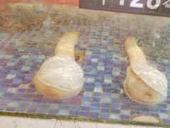 -聚福山莊·寻味顺德(北滘店)