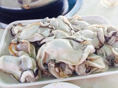 -蚝乡农庄(铁涌赤岸店)