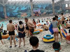 -哈尔滨波塞冬海底世界