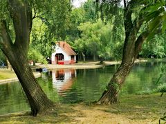 -上海共青森林公园