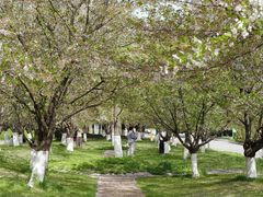 -南京工程学院(江宁校区)