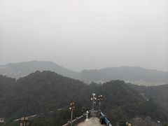 -大金鹰园