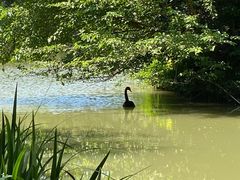 -金桥现代产业园区-停车场