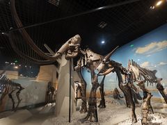 -国家自然博物馆