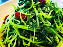炝炒鸡毛菜-日上三甘(三里屯店)