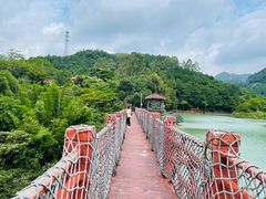 -广州白江湖森林公园