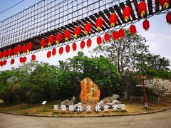 -天适樱花悠乐园