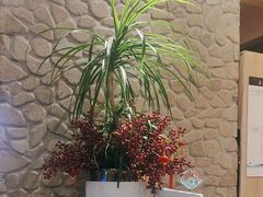 -禾沐家休闲度假生活馆