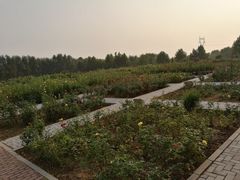 -石家庄市植物园