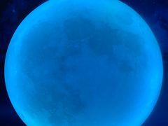 -天津梵高星空艺术馆(天河城旗舰店)