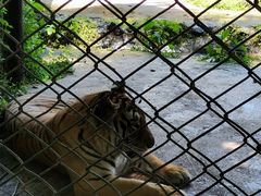 -海南热带野生动植物园