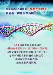 -雅曼妮spa美容养生