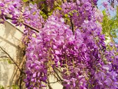 -青州市云门山风景区