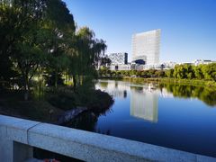 -大兴滨河森林公园