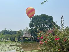 -中国科学院西双版纳热带植物园