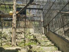 -杭州少年儿童公园